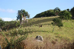 Domaine de l'agrave
