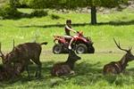 site de rencontres ile maurice