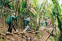 Parc aventure