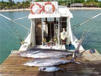 P&ecirc;che aux Marlins