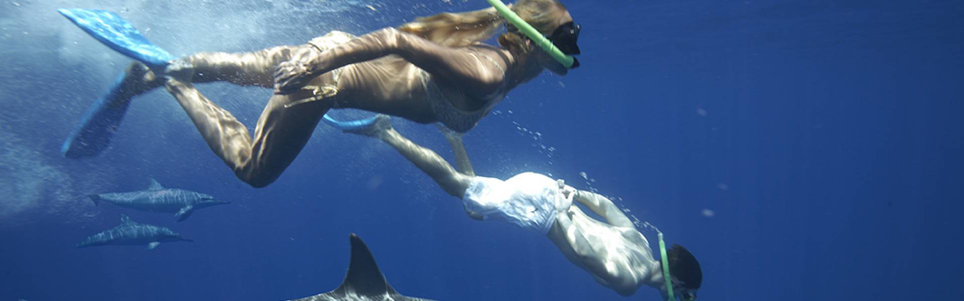 Nager avec les Dauphins