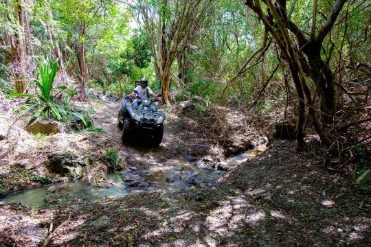 Top 5 des activités à sensations fortes à l'île Maurice