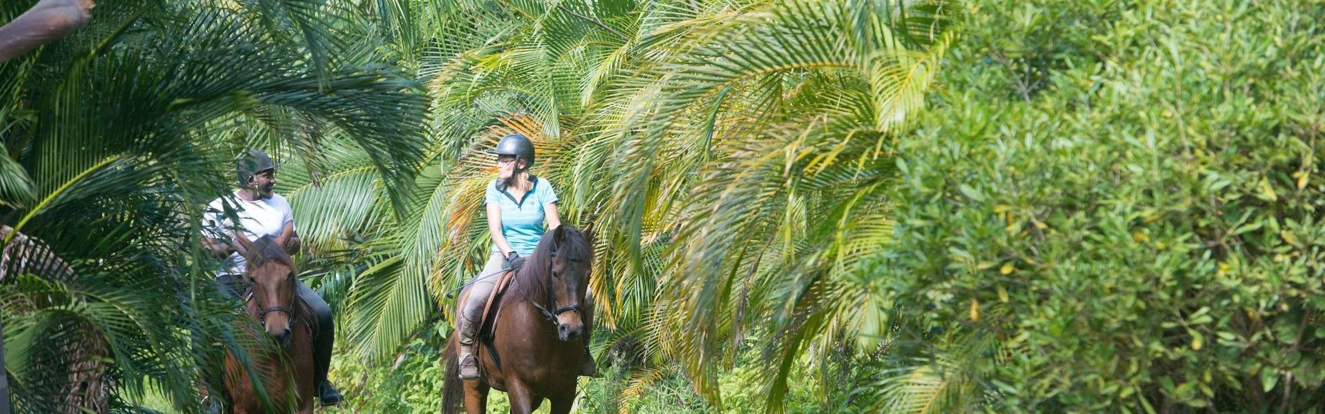 promenade chevaux