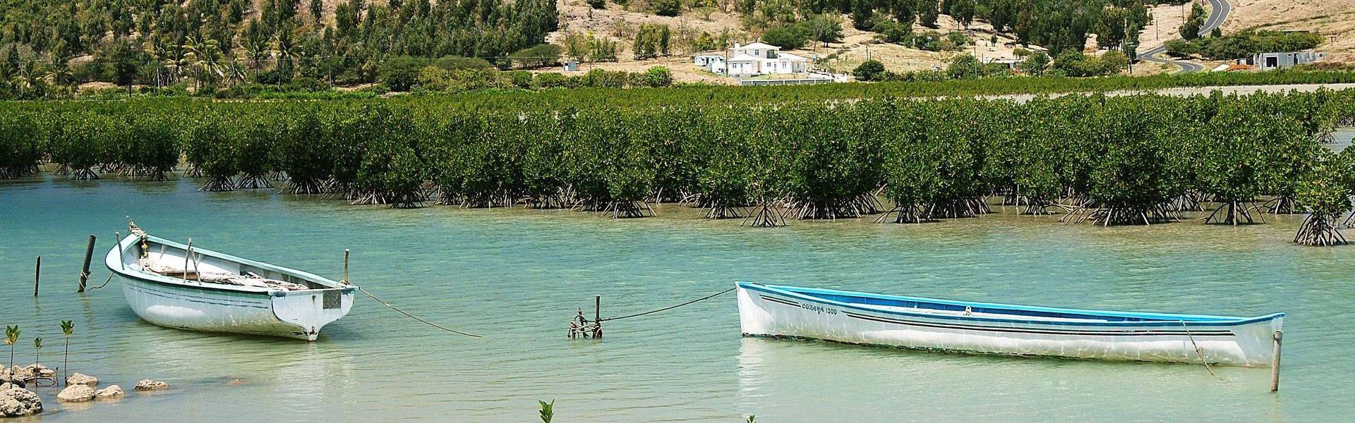 Rodrigues : La nature et les paysages