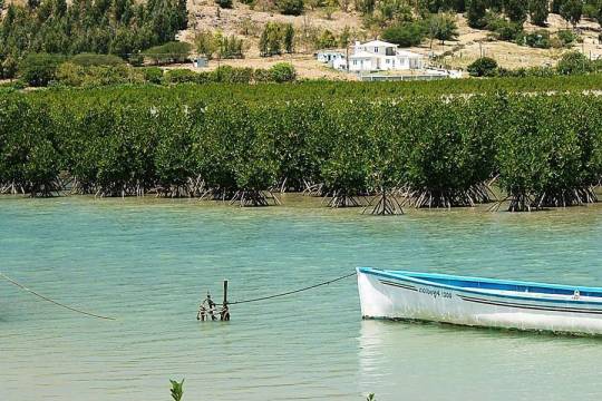 Rodrigues : La nature et les paysages