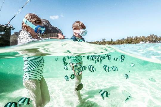 La plongée en famille à l'île Maurice