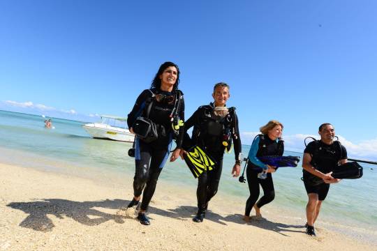 La plongée sous-marine, une activité incontournable 