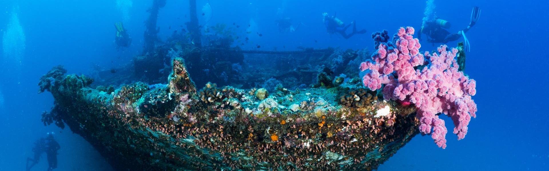 Les sites de plongée à l'île Maurice