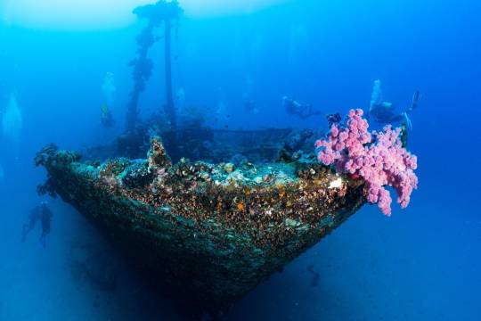 Les sites de plongée à l'île Maurice