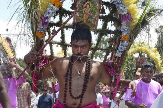 Thaipoosam Cavadee