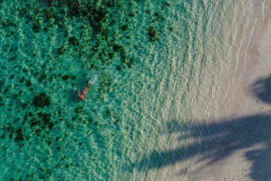 3 bonnes raisons d'aller à l'île Maurice en hiver