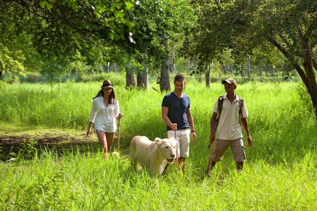 parc casela ile maurice