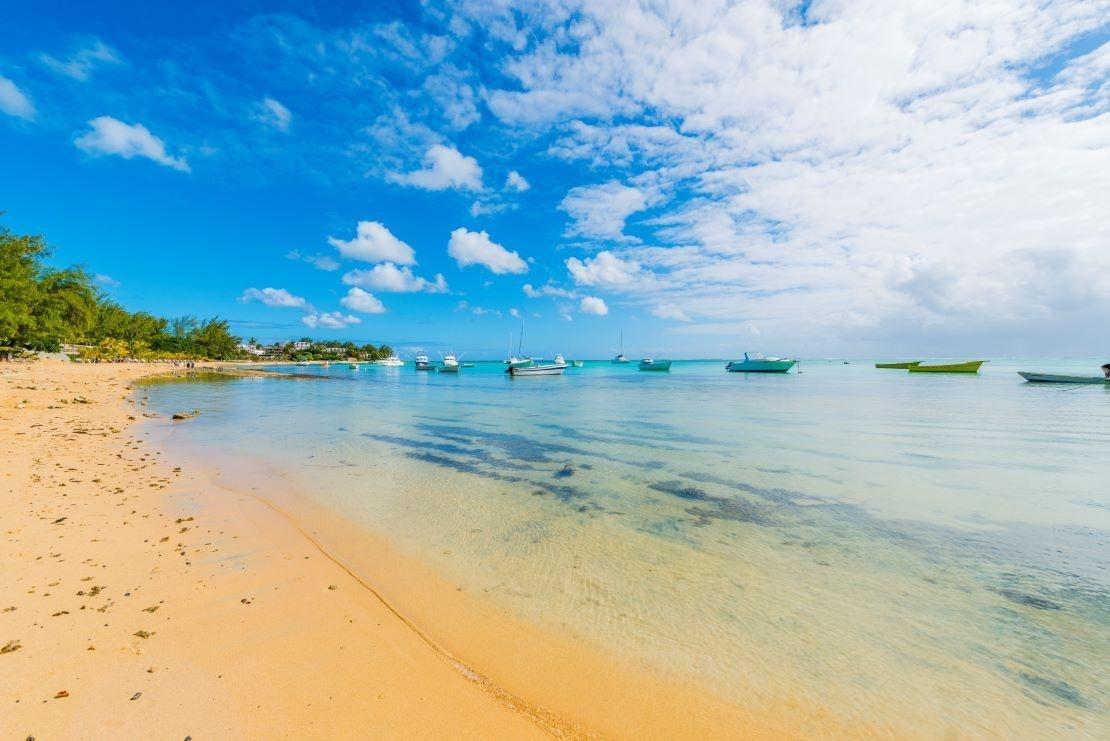 plage bain boeuf