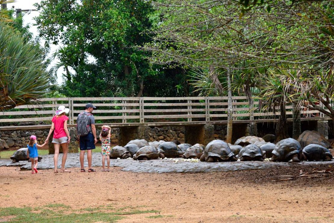 vanille nature park tortues