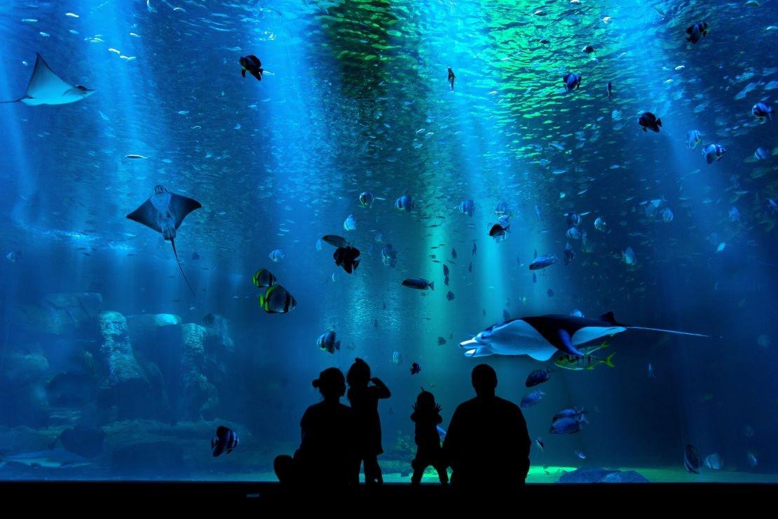 aquarium