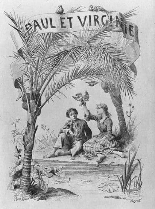 illustration paul et virginie