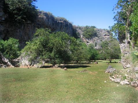 Bois de la belle rivière