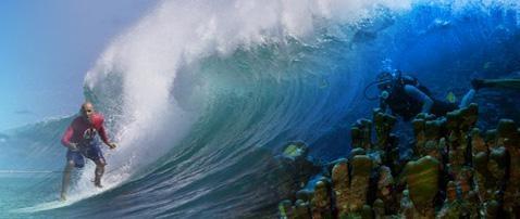 Bienvenue à Rodrigues