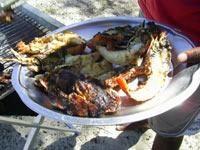Langoustes