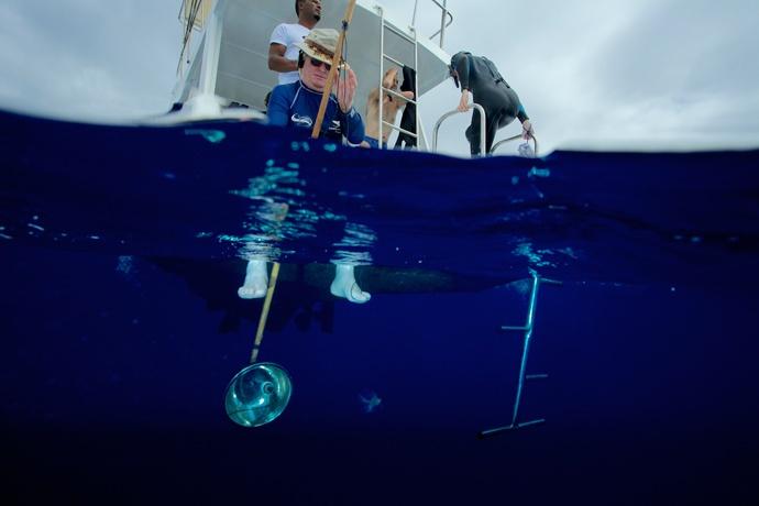 Michel décide alors de mettre son hydrophone à l'eau