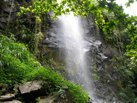 L'Anse des Cascades, un lieu idyllique 