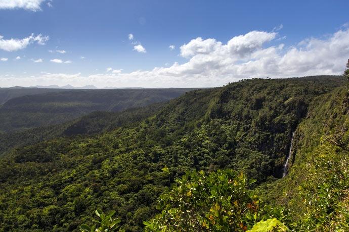 Le parc national des gorges de Rivière Noire