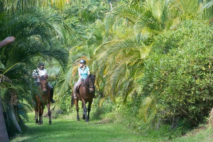 la vieille cheminee ile maurice nature