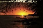 ile maurice covid vignette