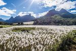 ile maurice nature 2