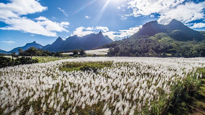 ile maurice nature