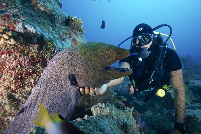 plonger a l ile maurice