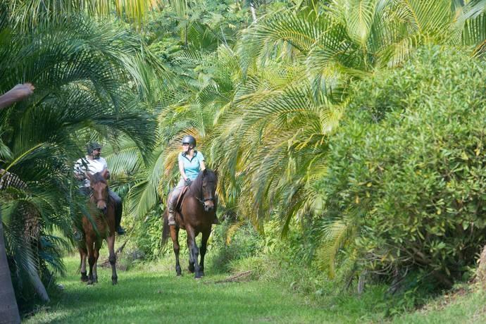 la vieille cheminee ile maurice