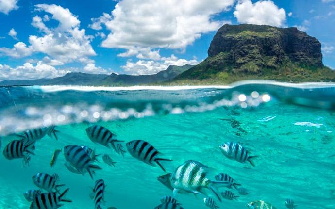 plongee le saint geran ile maurice