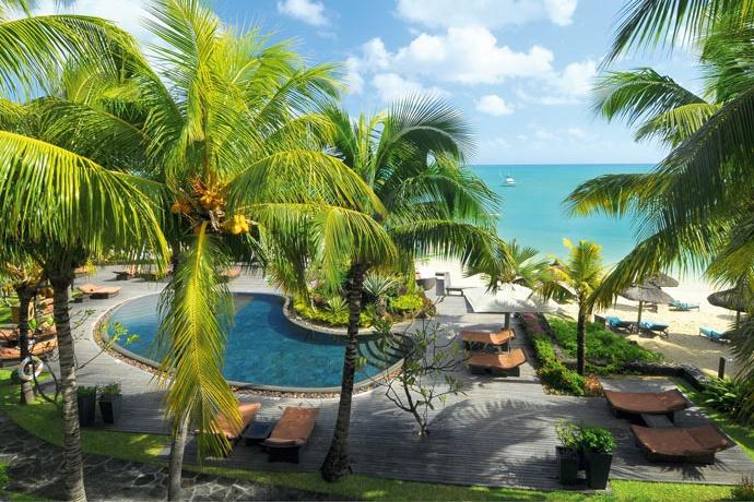 Royal Palm