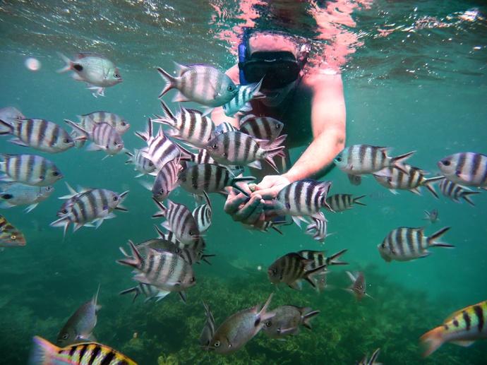 snorkeling ile maurice