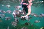 snorkeling miniature