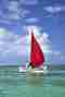 voile c mauritius